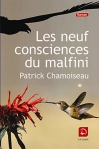 Couverture du livre : "Les neuf consciences du Malfini"