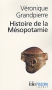 Couverture du livre : "Histoire de la Mésopotamie"