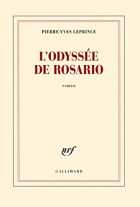 Couverture du livre : "L'odyssée de Rosario"